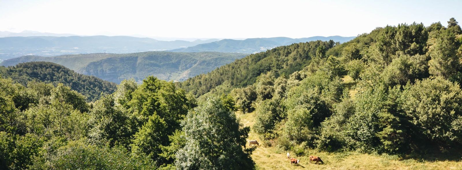 Adobestock nounours1 Randonnées en Velay et Ardèche
