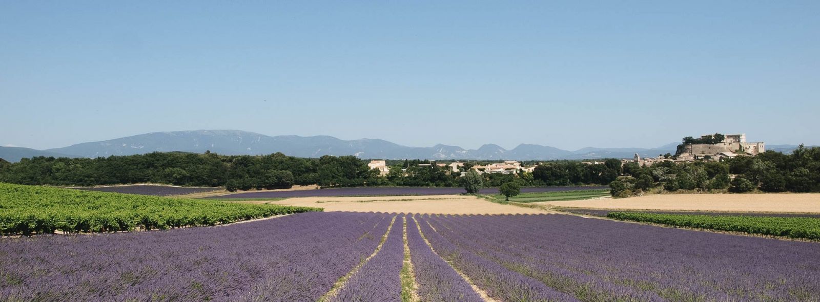 P. Saint-Jean Randonnées en Haute-Provence