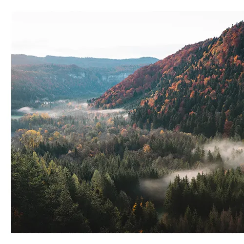 Brume au coeur des montagnes du Jura - LCotte Brume au coeur des montagnes du Jura - LCotte