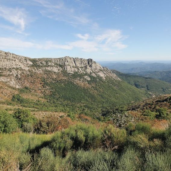 Les rochers de Trenze, au sud du Mont-Lozère Les rochers de Trenze, au sud du Mont-Lozère
