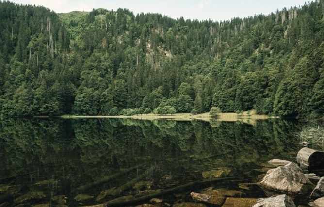 unsplash-sandraahmode Lac en bordure de la forêt Noire