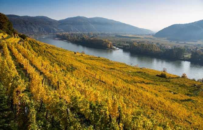 SeppFriedhuber de Getty Images Signature vallée de Wachau à l'automne
