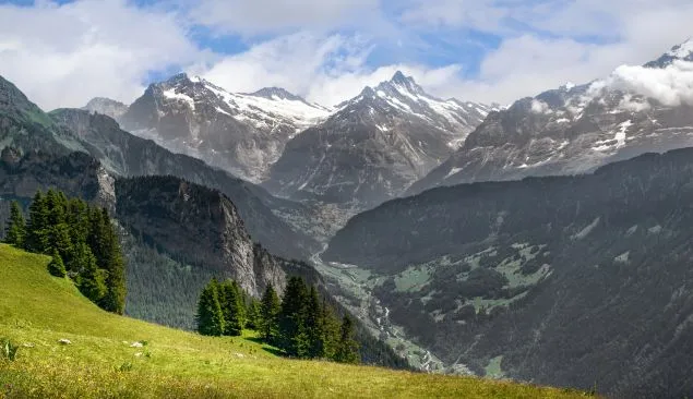 partenaires  partenaires