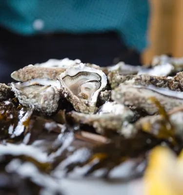 plateau-huitre