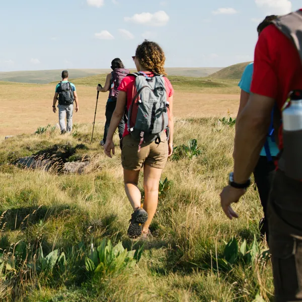randonneurs dans les champs