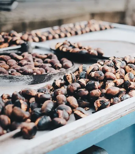 Châtaignes de Corse