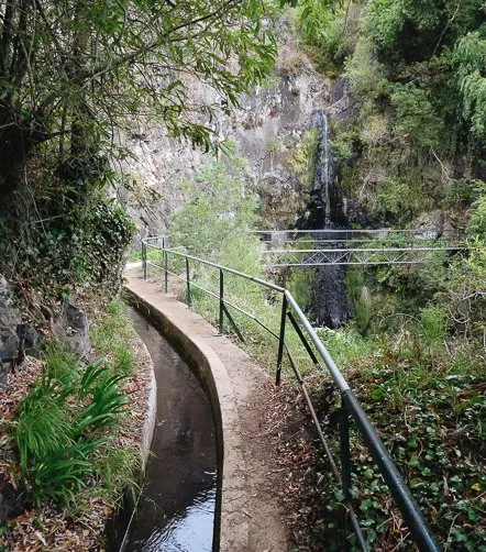 F. Weber Levada à Madère