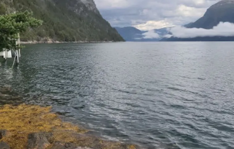 bord-sognefjord