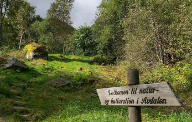 vallee-verte-sognefjord