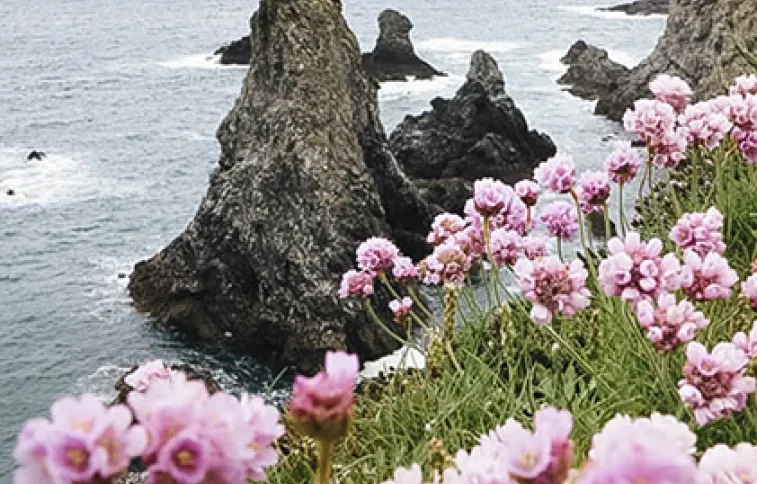 aiguilles-port-coton-ladesiradehotel