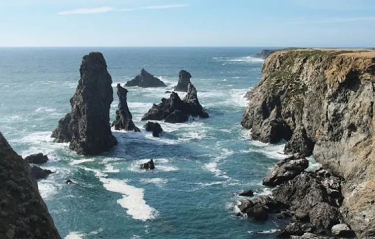 aiguilles-prot-coton-psaintjean