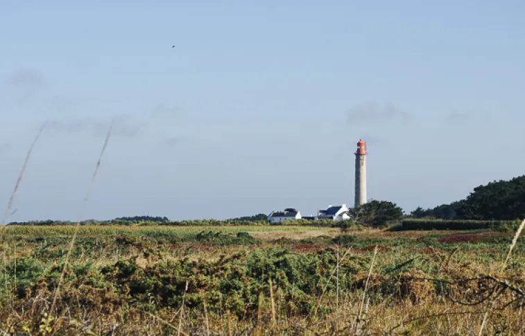 belle-ile-phare-breton-psaintjean.jpg