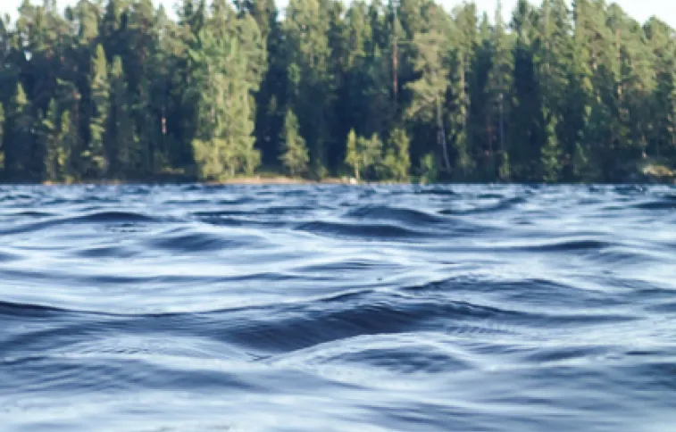 bord-lac-foret-unsplash-josefinbroschehagsgard