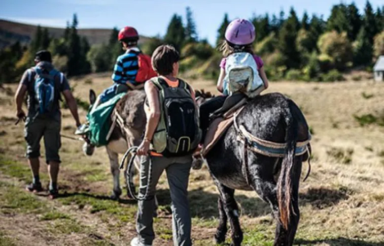 chaine-puys-ane-randonnee-famille-tvattard