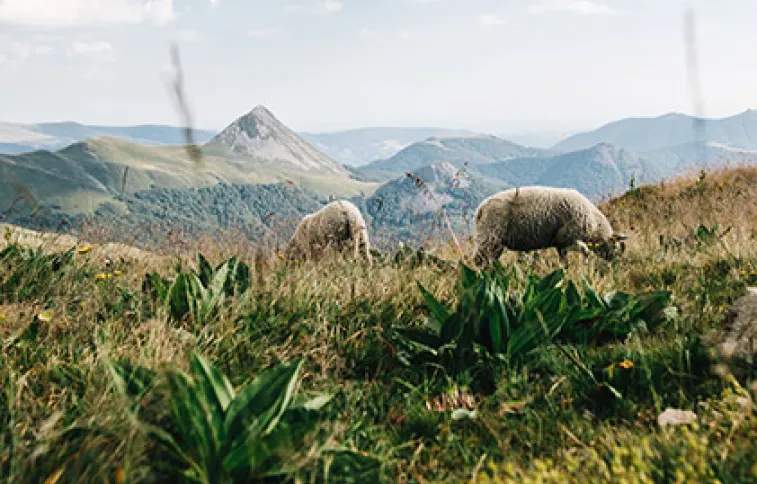 chamina_by_fabien_voileau_day_3_435a4051-v1bd