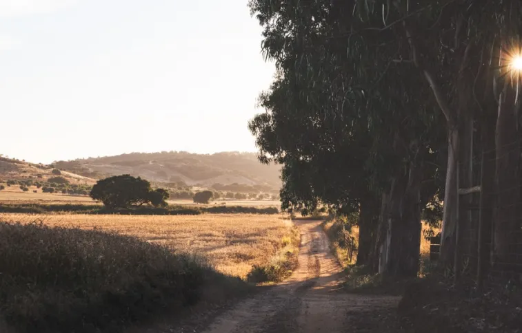 chemin-rota-vicentina-alentejo