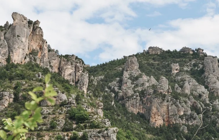 falaise-tarn-cevennes-cdeffner