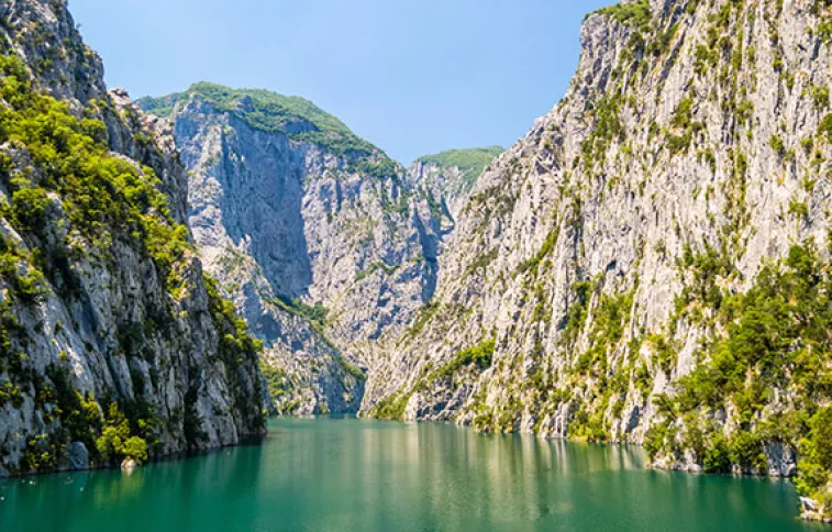 lackoman-adobestock-andrii_lutsyk