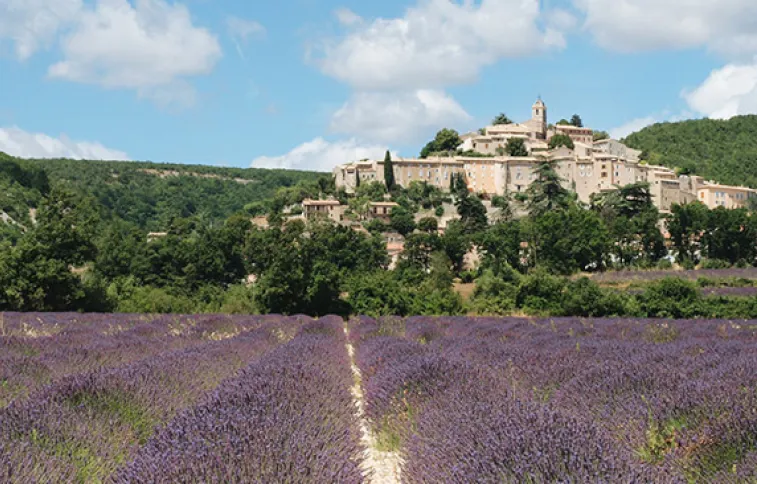 provence_actu