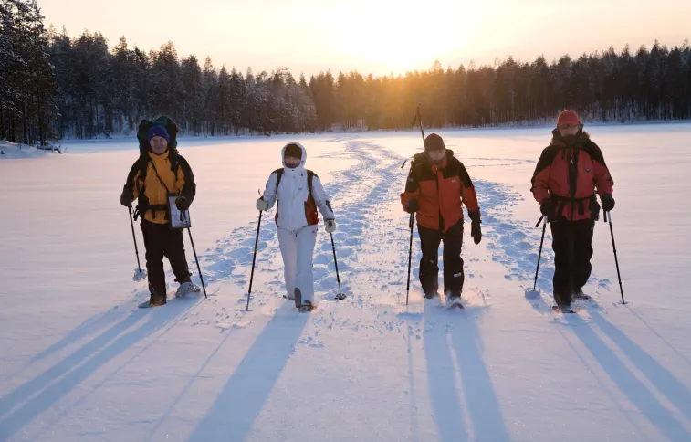 randonnee-raquettes-finlande