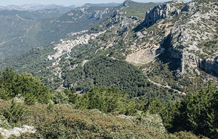 sardaignerando_monte_oro_12jheyte