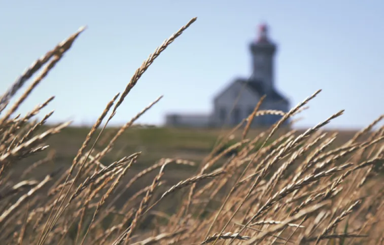 thibaut-marquis-97935-unsplash_actu