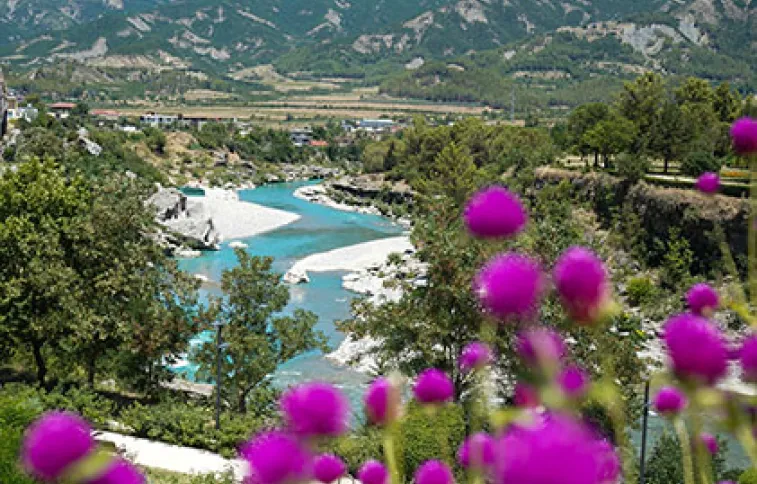 vjosa-adobestock-cocosss