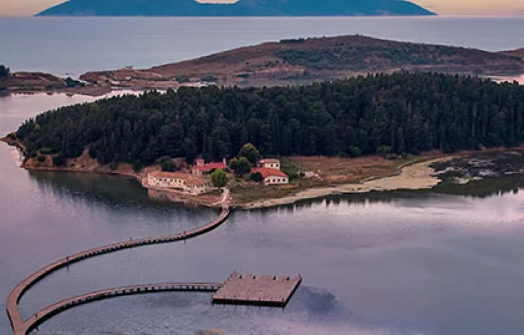 zvernec-adobestock-martinmecnarowski