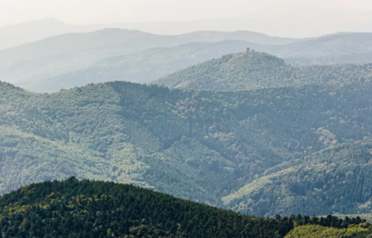 ©andronov massif-vosges