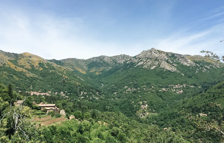 panorama-mont-lozere-cevennes