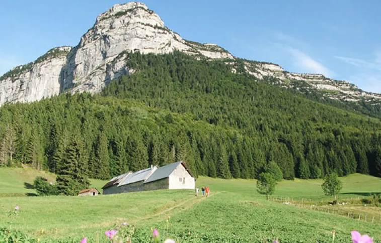paysage-chartreuse-tour