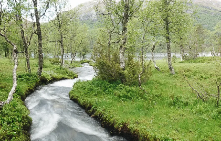 paysage-langestolen-likholefossen-agaunot