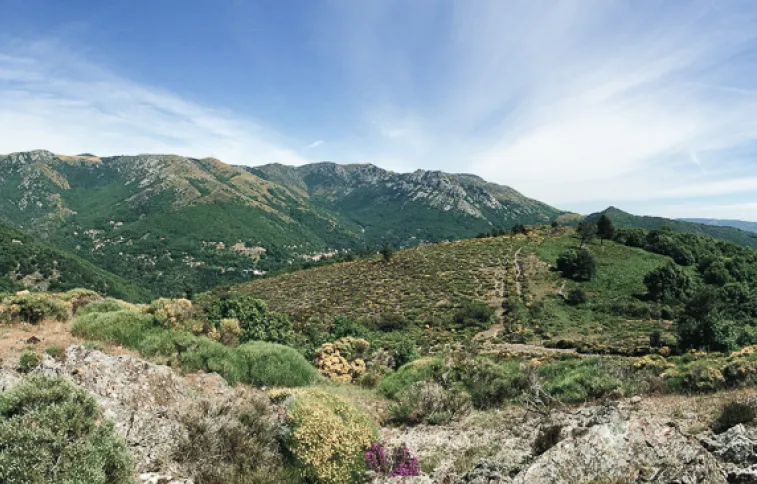 paysage-nature-cevennes