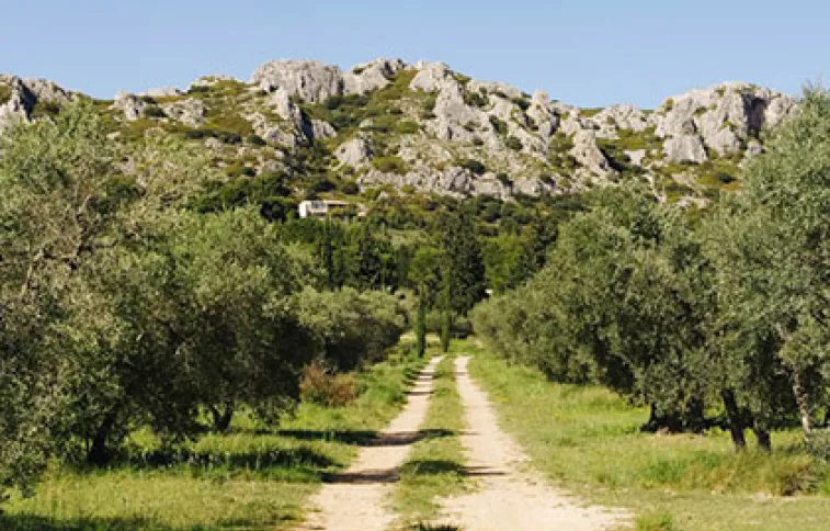 provence-cote-azur-randonnee-alpilles