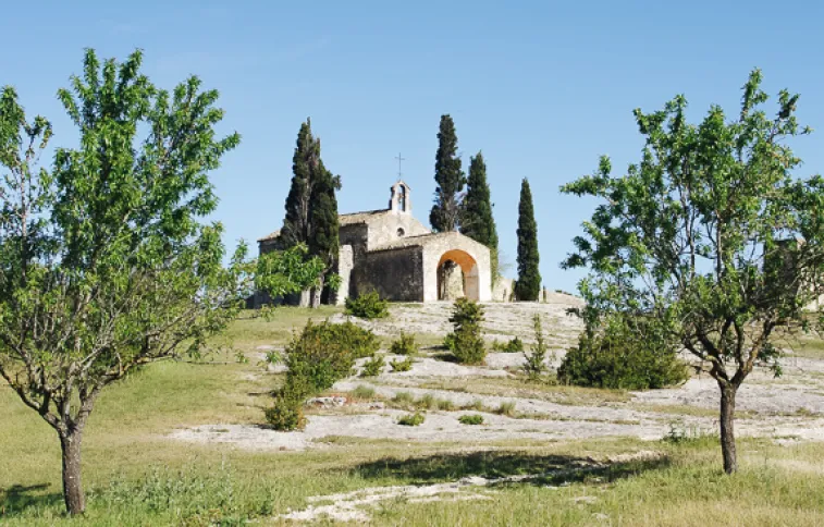 randonnee-provence-alpilles