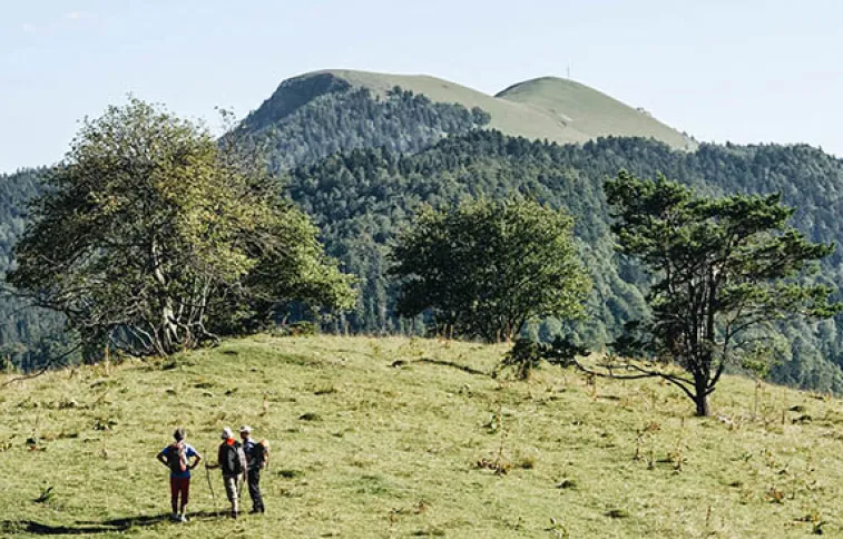 retrouvance-bugey-onf-montagne