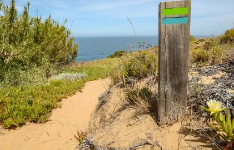 sentier_cotier_rota_vicentina