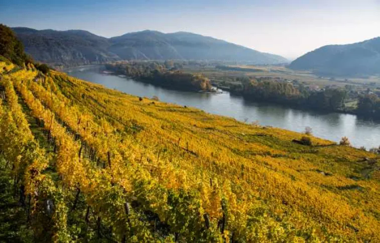 vallee_de_wachau