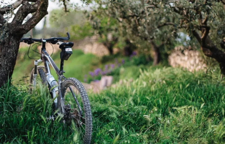 velo-olivier-unsplash-riccardo-chiarini