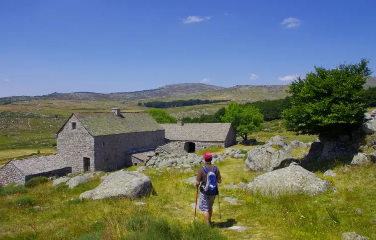 mas-de-camargues-lozere