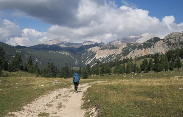 Prato Piazza à Senes, Dolomites, Italie