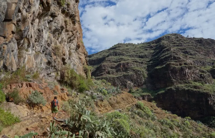 gomera-canaries-dpradon