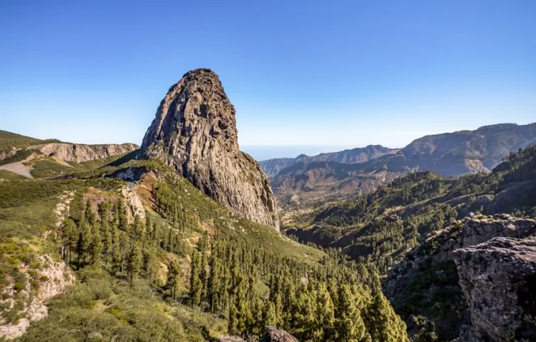 gomera-parc-garajonay-doleesi-adobestock