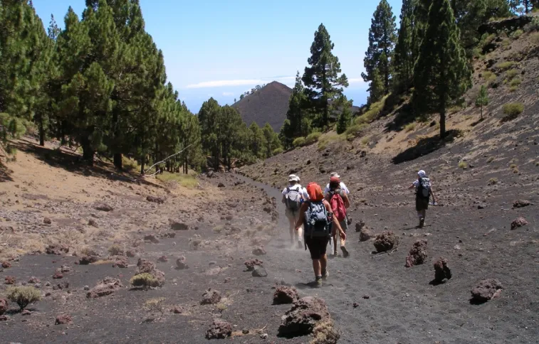 randonneur-gomera-fbonte
