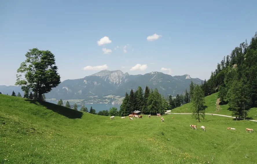 Almentour Alpage dans le Salskammergut