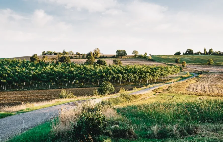 iStock Dutourdumonde Gers