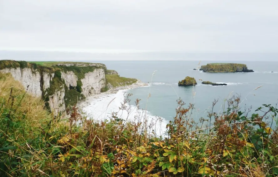 Vue depuis le Carrick-a-Rede