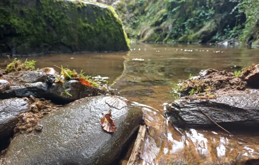 Les petites cascades dans les Cézallier