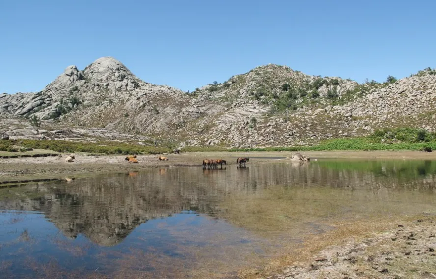 Parc national de Peneda-Gerês
