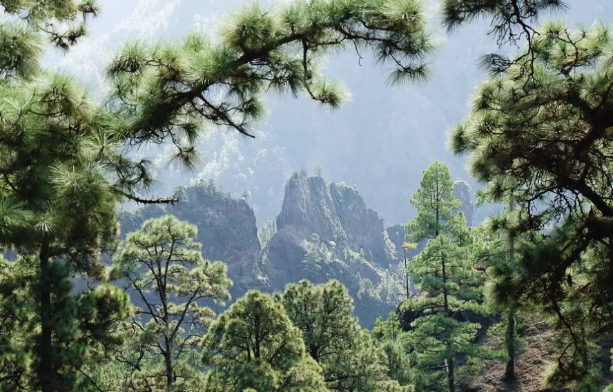 B. Courbin Caldera de Taburiente